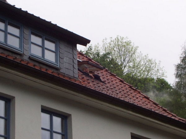 100_1022.jpg
