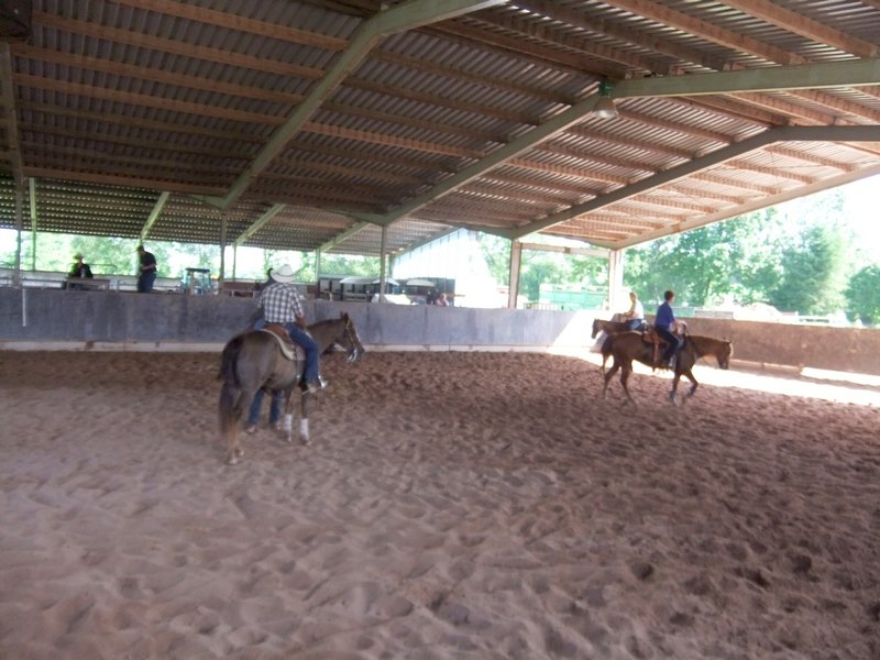 DSCF0773.JPG