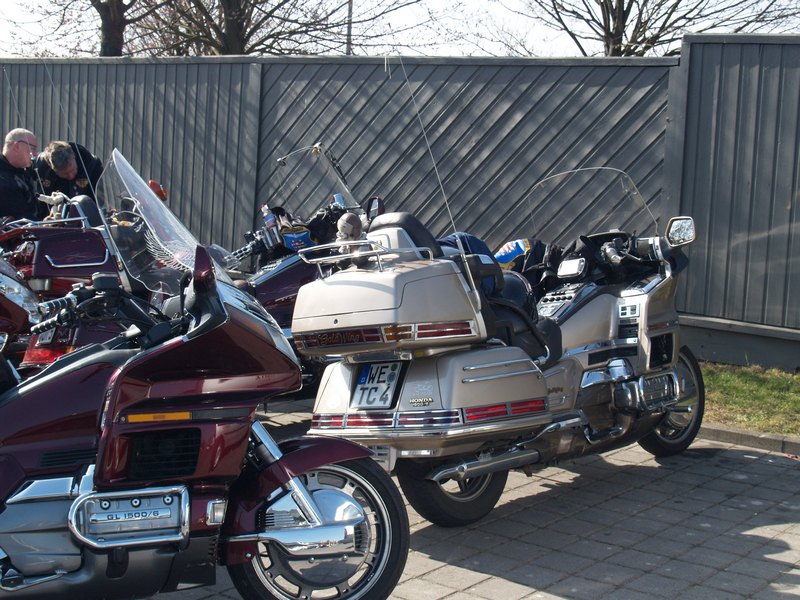 p3173674.jpg