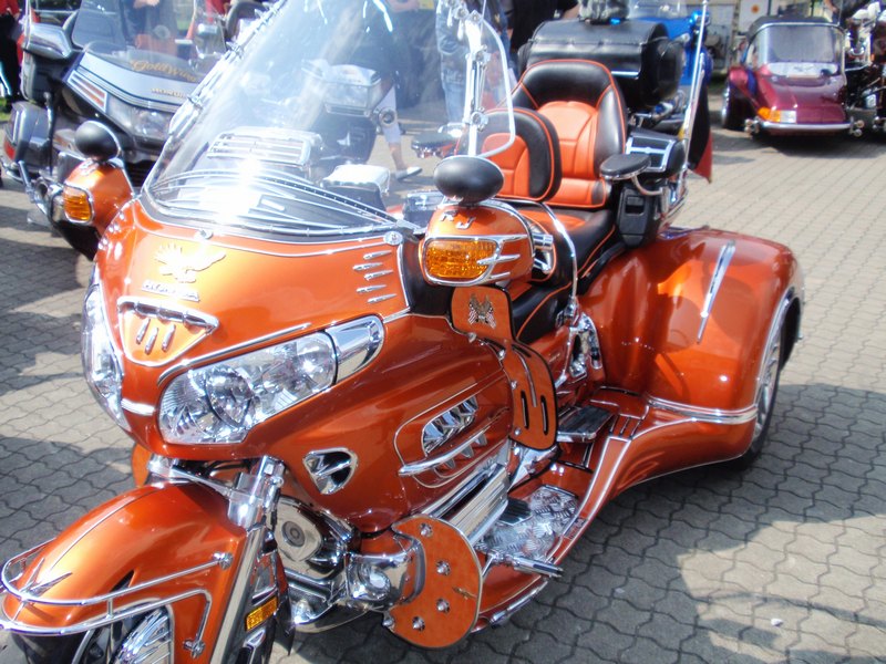 2013fuchs-022.JPG