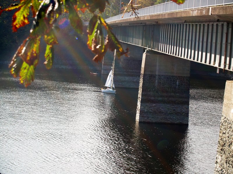 PA195462.JPG