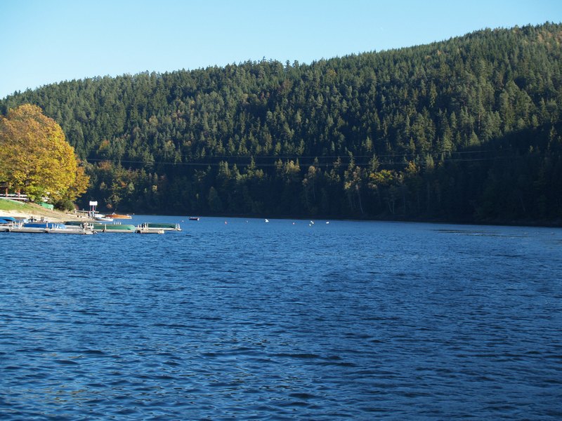 PA195515.JPG