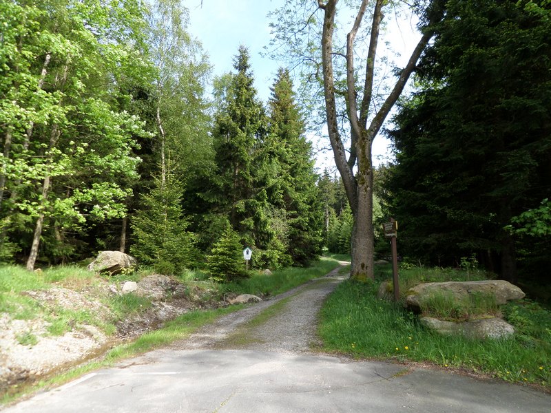 schierke018.JPG